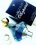 Chopard Wish parfemovaná voda pro ženy - Objem: 30 ml, Balení: Běžné balení
