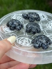 Krystalová želvička, výběr z minerálů