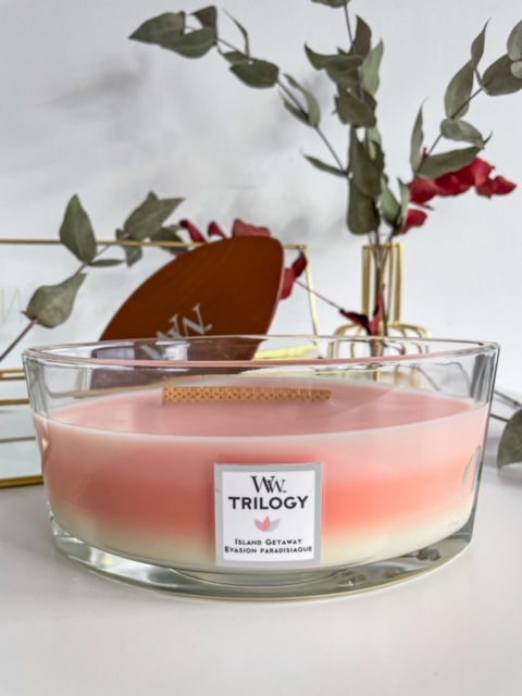 WoodWick vonná svíčka s dřevěným knotem, lodička, 453,6 g