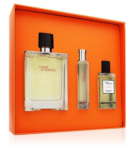 Hermes Terre d´Hermès toaletní voda pro muže - Objem: 100 ml, Balení: Běžné balení