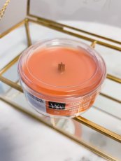 WoodWick Vonná svíčka Petite Candle, 31 g