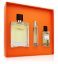 Hermes Terre d´Hermès toaletní voda pro muže - Objem: 100 ml, Balení: Běžné balení