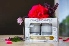Yankee Candle Čajové svíčky, 12 ks (12x 9,8 g)