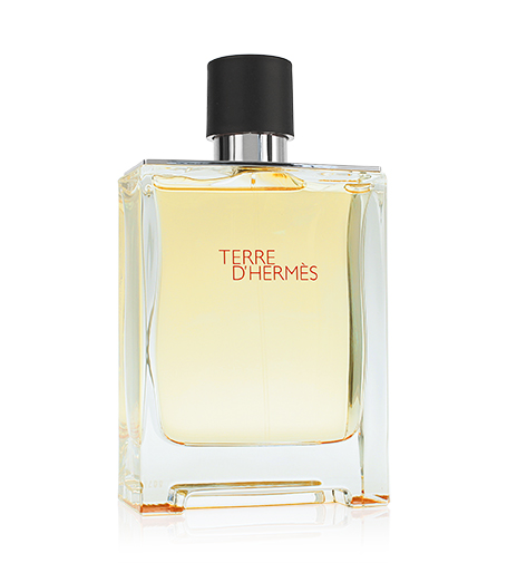 Hermes Terre d´Hermès toaletní voda pro muže - Objem: 100 ml, Balení: Běžné balení
